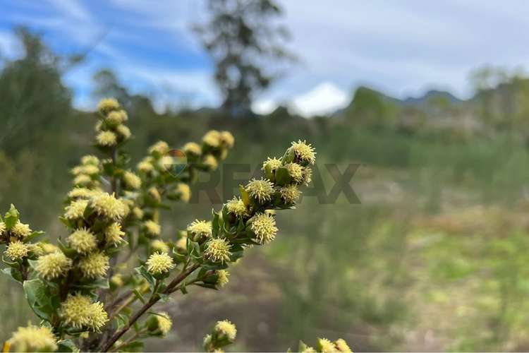 Vende parcela con vista al volcán - Imagen 11