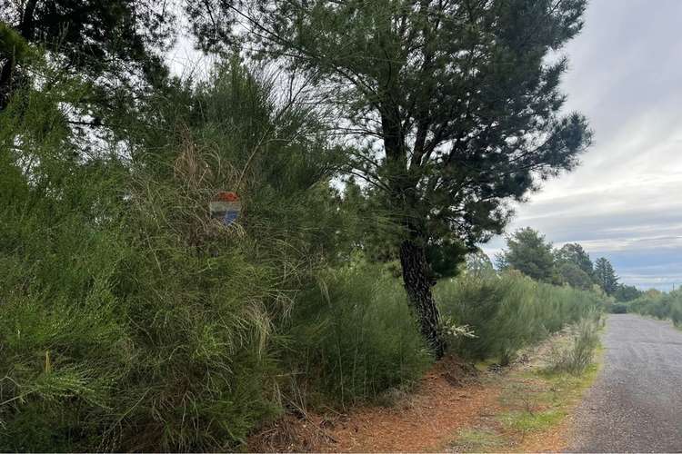 Parcela en venta pucón - Imagen 15