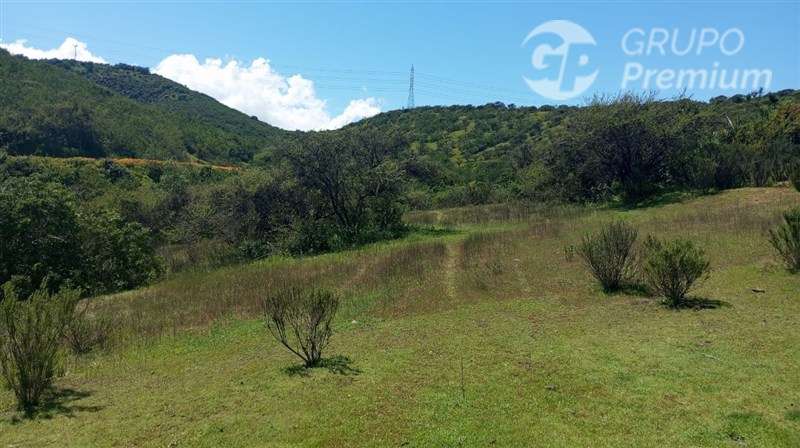 Sitio en venta en Limache - Imagen 4
