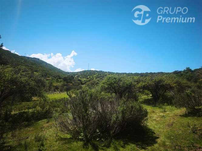 Sitio en venta en Limache - Imagen 36