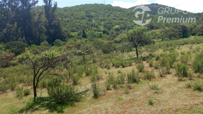 Sitio en venta en Limache - Imagen 16
