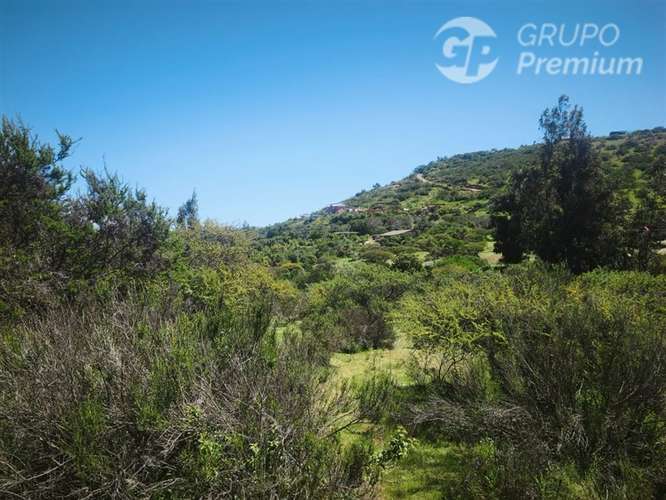 Sitio en venta en Limache - Imagen 37