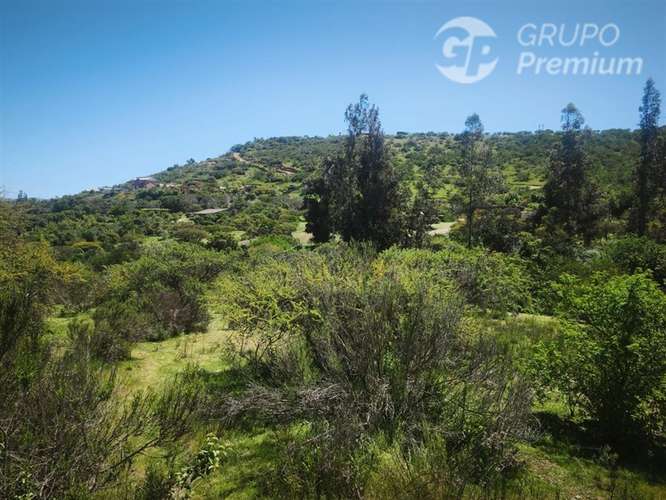 Sitio en venta en Limache - Imagen 40