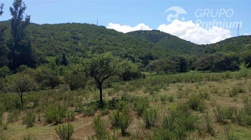 Sitio en venta en Limache - Imagen 14