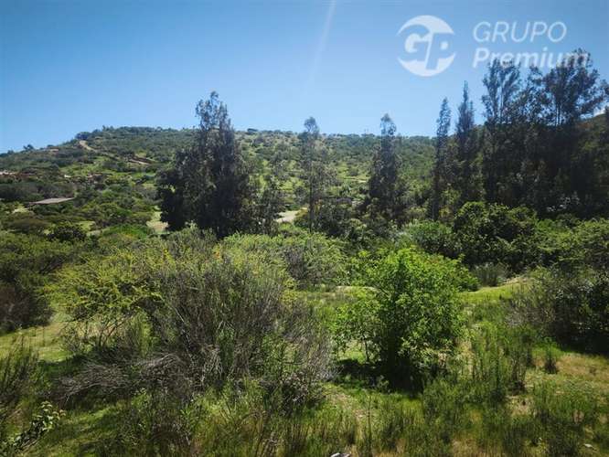 Sitio en venta en Limache - Imagen 42