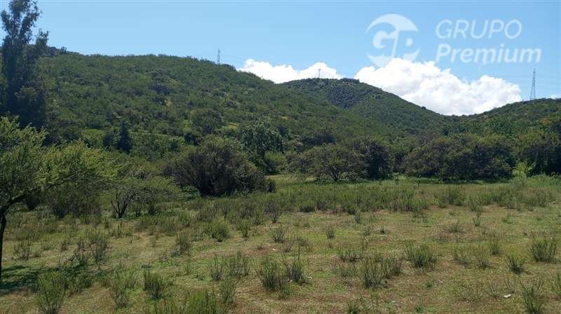 Sitio en venta en Limache - Imagen 8