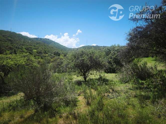 Sitio en venta en Limache - Imagen 48