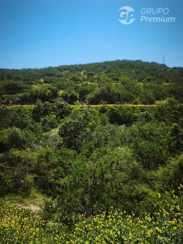Sitio en venta en Limache - Imagen 25