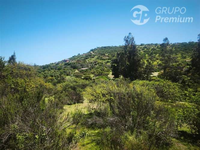 Sitio en venta en Limache - Imagen 44