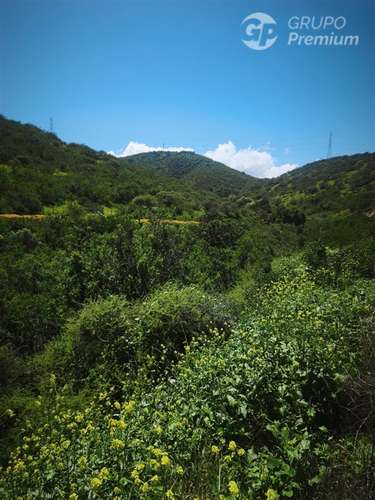 Sitio en venta en Limache - Imagen 24