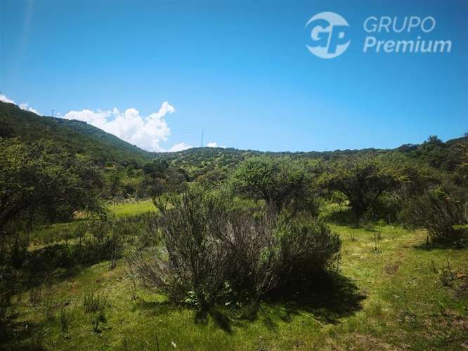 Sitio en venta en Limache - Imagen 30