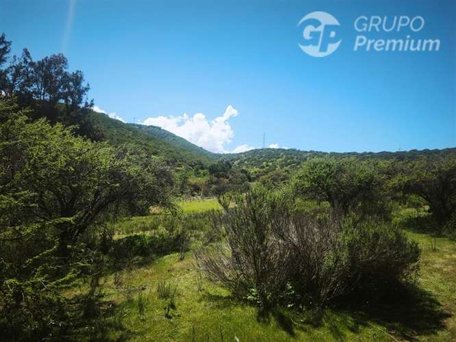 Sitio en venta en Limache - Imagen 31
