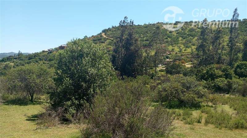 Sitio en venta en Limache - Imagen 11