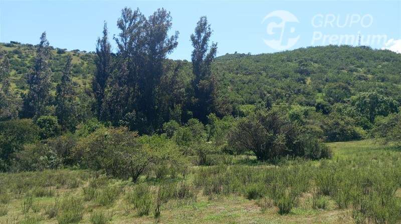 Sitio en venta en Limache - Imagen 9