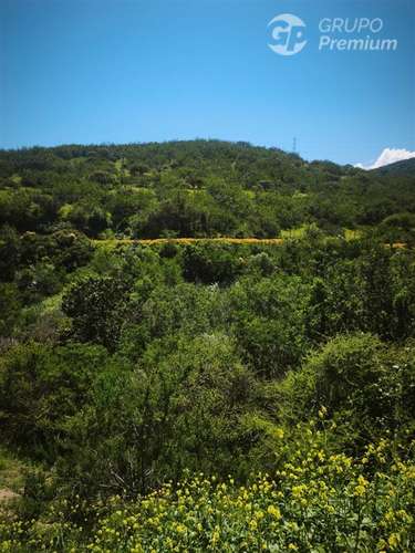 Sitio en venta en Limache - Imagen 21