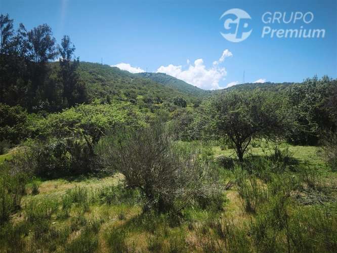Sitio en venta en Limache - Imagen 50