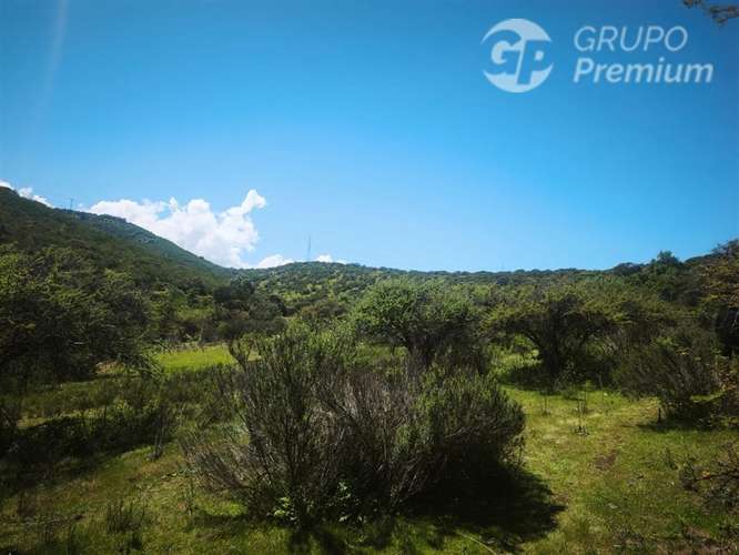 Sitio en venta en Limache - Imagen 27