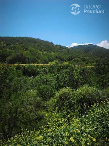Sitio en venta en Limache - Imagen 19