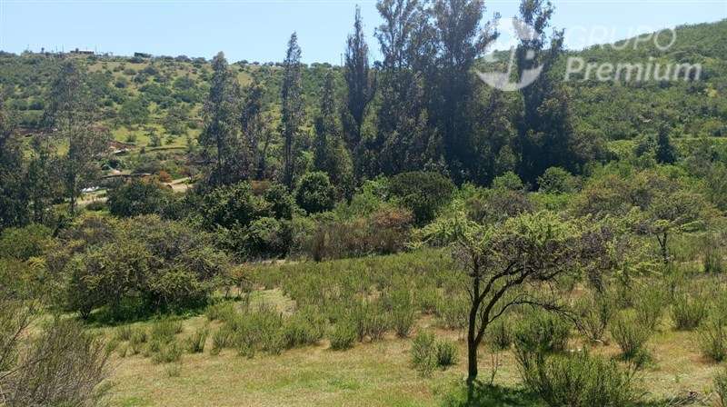 Sitio en venta en Limache - Imagen 17