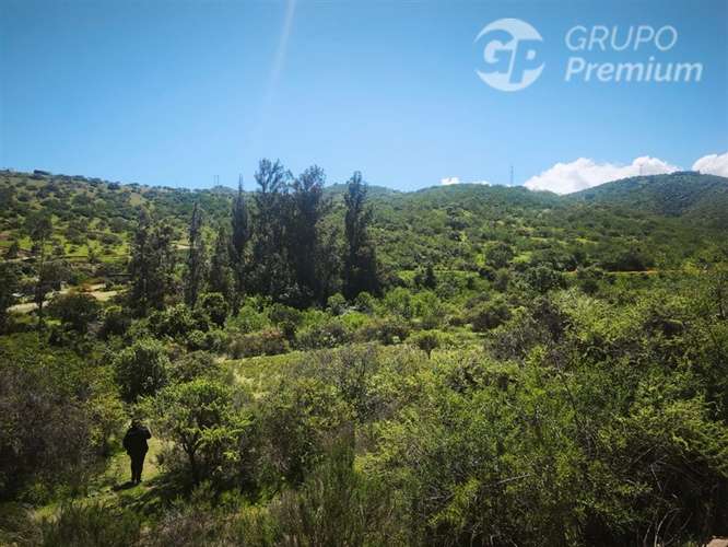 Sitio en venta en Limache - Imagen 51