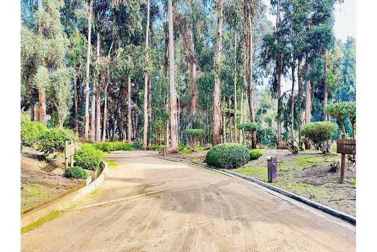 Jardin privado con vista privilegiada al mar