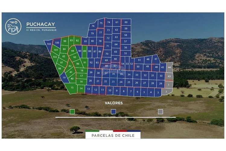 Parcela 5.000 mts2 - rincón del sauce - pumanque - Imagen 5