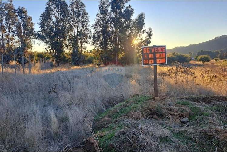 Parcela 5.000 mts2 - rincón del sauce - pumanque - Imagen 6