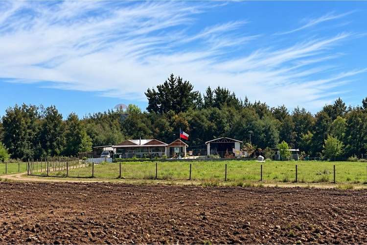 Casa de campo + 2,5 ha terreno agrícola - Imagen 6