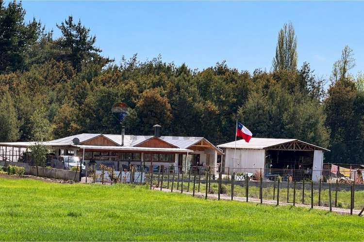 Casa de campo + 2,5 ha terreno agrícola - Imagen 17