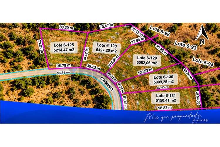 Lote 6-132 | 5.022 m² en venta – la serena - Imagen 6