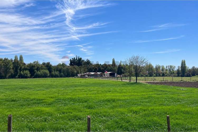 2,5 ha terreno agrícola + casa de campo - Imagen 2