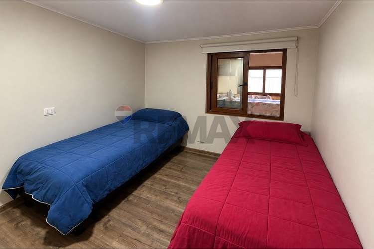 2,5 ha terreno agrícola + casa de campo - Imagen 12