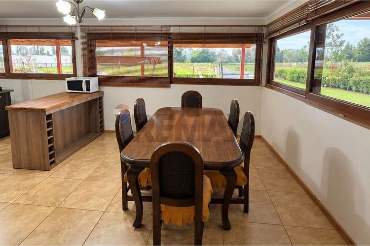 2,5 ha terreno agrícola + casa de campo - Imagen 7