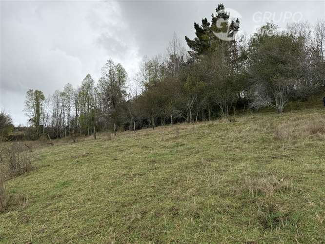 Parcela en Venta en Loncoche - Imagen 9