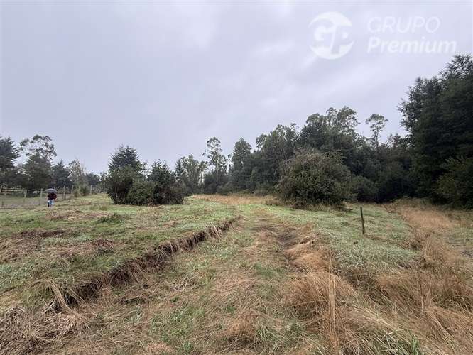 Venta-Parcela-Villarrica - Imagen 5