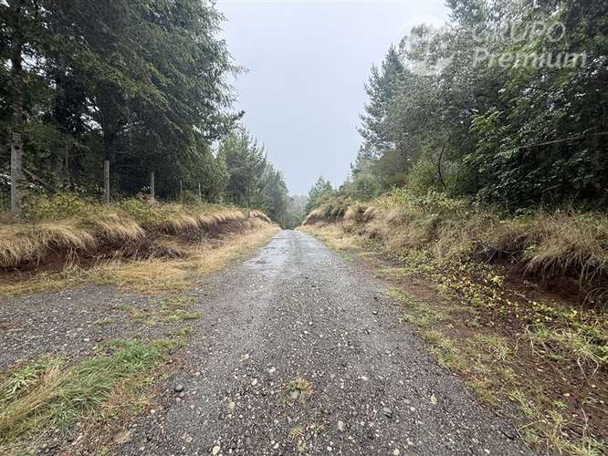 Venta-Parcela-Villarrica - Imagen 11