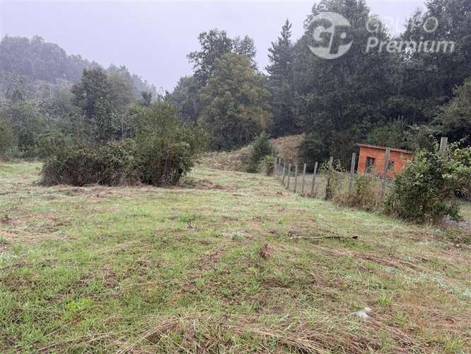 Venta-Parcela-Villarrica - Imagen 4
