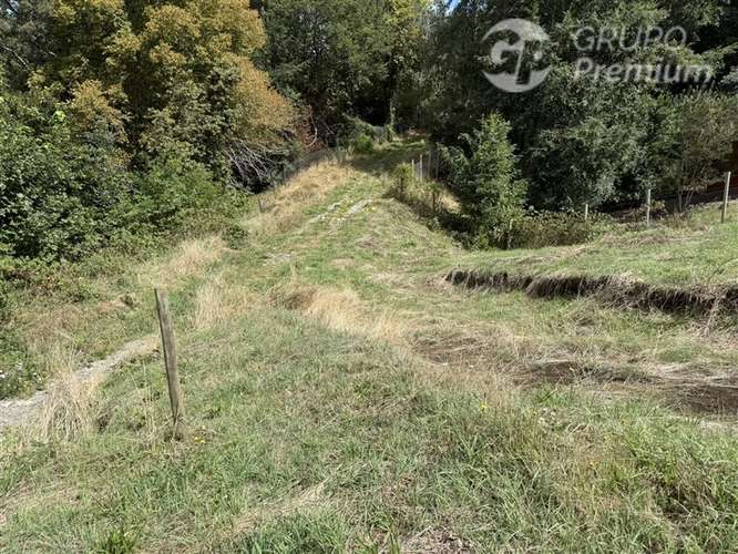 Venta- Paracela- Villarrica-5000 Mt2 - Imagen 3