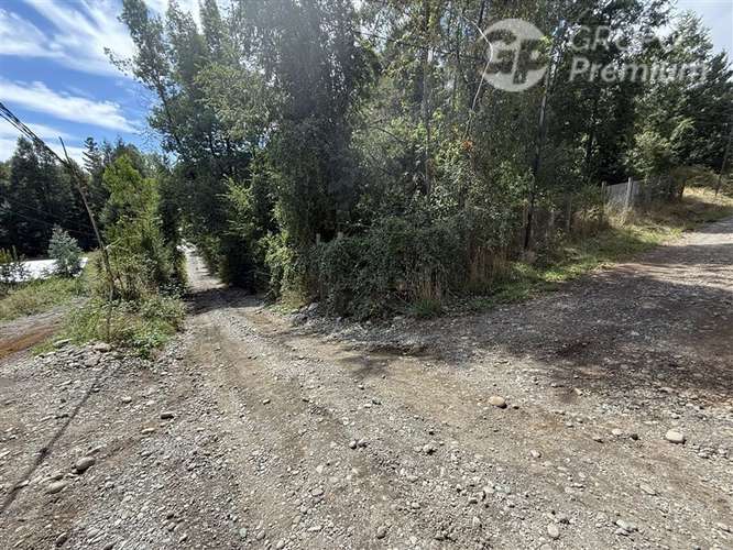 Venta- Paracela- Villarrica-5000 Mt2 - Imagen 11