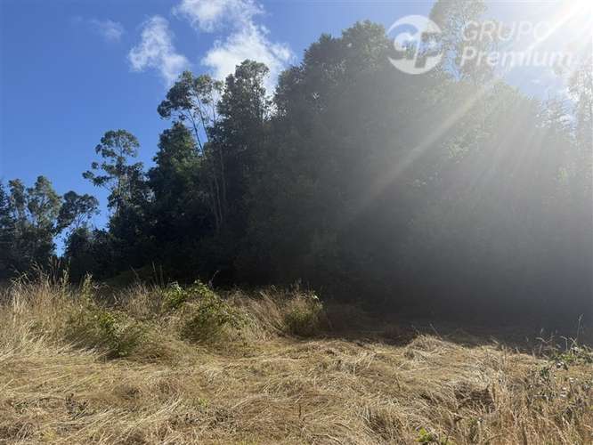 Venta- Paracela- Villarrica-5000 Mt2 - Imagen 7