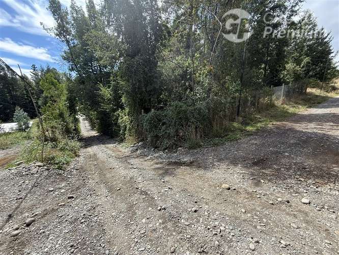 Venta- Paracela- Villarrica-5000 Mt2 - Imagen 10