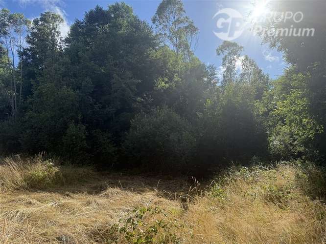 Venta- Paracela- Villarrica-5000 Mt2 - Imagen 8