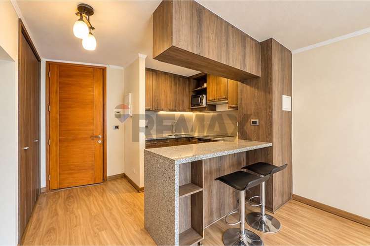 Se vende magnífico dúplex en providencia - Imagen 6