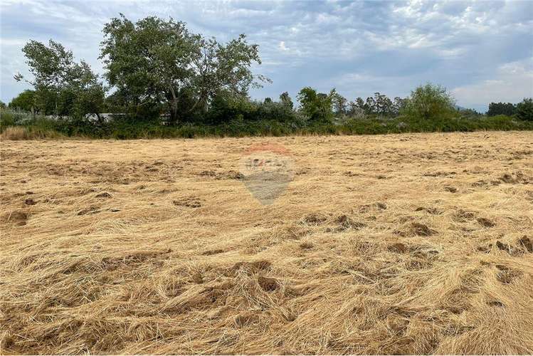 Se vende en loteo doña isidora 7.500 m2