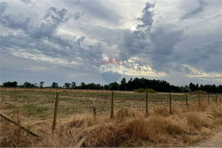 Se vende en loteo doña isidora 7.500 m2