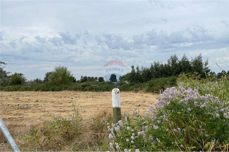 Se vende en loteo doña isidora 7.500 m2