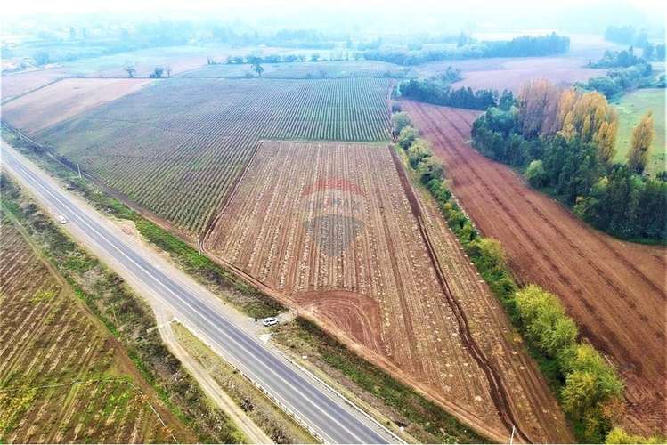 Terreno 10 ha a 700 mt cruce colbun - corralones.