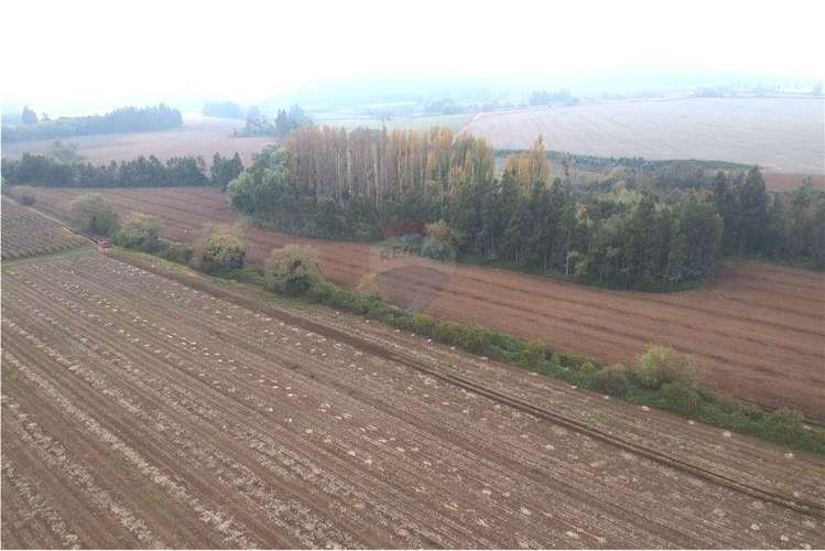Terreno 10 ha a 700 mt cruce colbun - corralones.