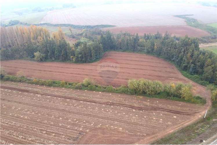 Terreno 10 ha a 700 mt cruce colbun - corralones.