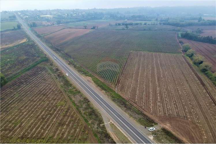 Terreno 10 ha a 700 mt cruce colbun - corralones.